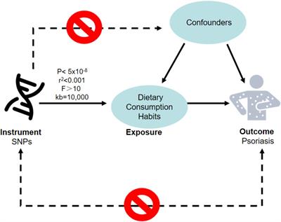 The association between dietary consumption habits and psoriasis: a two-sample Mendelian randomization study